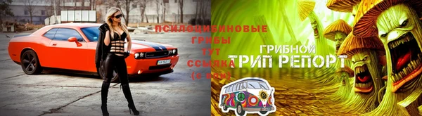 мяу мяу мука Медвежьегорск